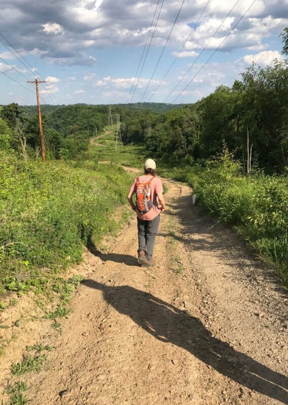 Hayes Woods. PHOTO BY CHARLES BIER WESTERN PA CONSERVANCY / ALLEGHENY LAND TRUST / COLCOM FOUNDATION