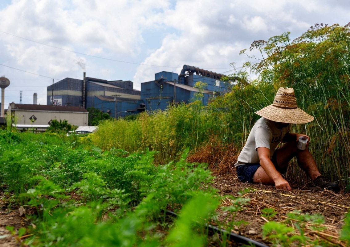 Postindustrial, Produce for all, By Kim Palmiero